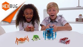 HEXBUG  Micro Robotic Creatures [upl. by Whiney]