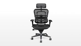 Ergohuman Ergo Elite or V2 Chair Review [upl. by Siskind907]