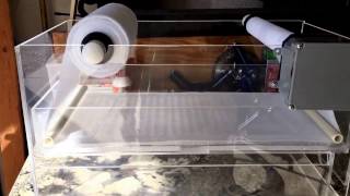 HOW TO HARD PLUMB A FILTER ROLLER TO YOUR REEF AQUARIUM SUMP [upl. by Plate724]