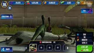 Compsognathus in Jurassic world the game [upl. by Terese147]