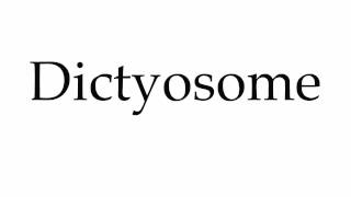 How to Pronounce Dictyosome [upl. by Cullan21]