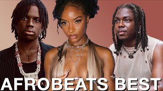 BEST OF NAIJA AFROBEATS 2024 VIDEO MIX AFROBEATS PARTY MIX  KENYA  TANZANIA  GHANA SOUTH AFRICA [upl. by Halivah993]