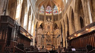 Saint Stephens Cathedral [upl. by Aigroeg]