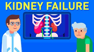 What is Kidney Failure [upl. by Bodrogi643]