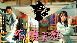 キヨ 「有頂天猫」 Music Video [upl. by Donelson]