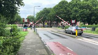 Spoorwegovergang Borne  Dutch Railroad Crossing [upl. by Dowzall]