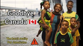 JAMAICANS LEAVING CANADA 🇨🇦  Harsh REALITY of IMMIGRANTS in CANADA 🇨🇦 [upl. by Yras579]