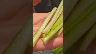 PREPARING CUCUMBER POR FOR AROMATIC CRISPY DUCK foodshorts cucumber duckrecipe duck ducks [upl. by Notsla]