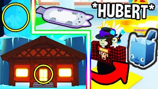 Pet Simulator X SECRETS How To Get HUBERT CAT Pet Simulator X Roblox [upl. by Ennahs]