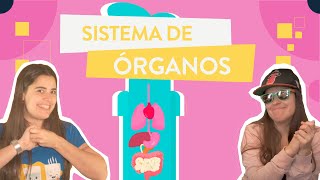 Sistema de órganos tejidos órganos y sistemas [upl. by Hgielram206]