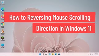 How to Reverse Mouse Scrolling Direction In Windows 11 [upl. by Eiaj]