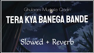 Tera Kya Banega Bande Slowed  Reverb  Ghulam Mustafa Qadri  Naat And Hamd [upl. by Pero]