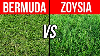 Bermuda vs Zoysia  Pros Cons and Tips to Help You Choose the Best Grass for Your Lawn [upl. by Dubenko]