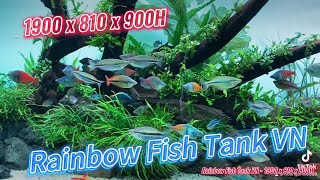 Rainbow Fish Tank VN  Layout Nature Hoanganh Le [upl. by Lanni380]