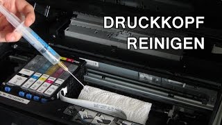 Tutorial Druckkopf bei Epson Drucker reinigen [upl. by Yrennalf275]