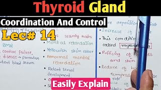 Thyroid Gland Anatomy And its Hormones In Urdu Hindi  Class 12 Biology [upl. by Kirkpatrick937]