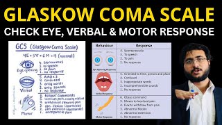 Mastering the Glasgow Coma Scale Complete Guide Scoring System and Clinical Applications [upl. by Assina398]