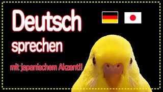 Mein Wellensittich spricht deutsch mit japanischem Akzent [upl. by Trace]