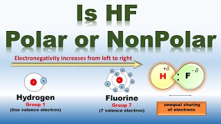 Is HF Polar or Nonpolar  in Urdu Hindi  Covalent Bond  Electronegativity  YouTube [upl. by Arleen192]