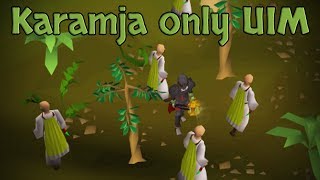 Force Spawning Clue Scroll Wizards And Guardians  Karamja Only UIM Patched [upl. by Mariand996]