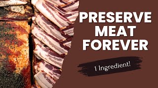 Preserve Meat FOREVER with Historical Salt Cured Method [upl. by Northrup496]