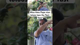 Misa Amu Papa nian loloos laos iha TasiTolu [upl. by Ojahtnamas555]