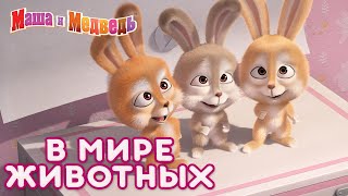 Маша и Медведь 👱‍♀️🐻 В мире животных 🦊🐷 Коллекция лучших серий про Машу 🎬 [upl. by Aerdnna]