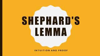 Shephards Lemma Intuition and Proof [upl. by Dessma317]