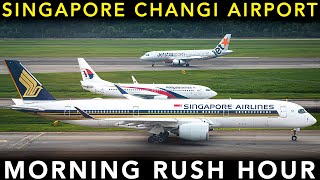 SINGAPORE CHANGI AIRPORT  Plane Spotting  Landing amp Take off  Morning RUSH HOUR [upl. by Stephi]