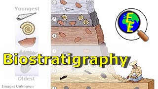 Biostratigraphy Intro Using the Fossil Record [upl. by Sileas]