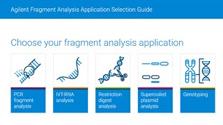 Confident Nucleic Acid Fragment Analysis for Your Applications with Automated Electrophoresis [upl. by Akli]