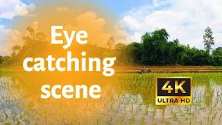 সিনেমাটিক ভাবে গ্রামের চারপাশ  Around the village  Cenematic 4k Video  Shokher Videography [upl. by Carboni22]