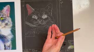 WANT TO LEARN TO DRAW CATS FOR FREE PART 1 [upl. by Washburn]