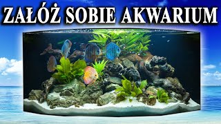 Początkujący 🐠 Propozycje RYB do Pierwszego AKWARIUM [upl. by Leuas]