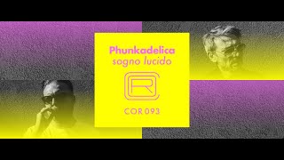 Phunkadelica  Acidazzo Correspondant [upl. by Ardussi611]