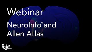 Webinar Reconstructing Whole Mouse Brain Volume from Serial Sections to Registration in Allen Atlas [upl. by Adelia777]