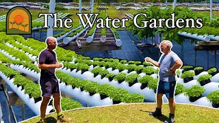 Managing a Hydroponic Herb Farm The Water Gardens Tour [upl. by Ymiaj949]