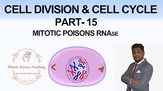 cell division and cell cycle Part15 mitotic poisons RNAse NEET AIIMS [upl. by Solracesoj]