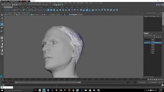 Ornatrix Maya Male head and facial hair tutorial [upl. by Olag739]