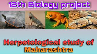 12th Biology project on Herpetological diversity of Maharashtra [upl. by Lesna]