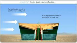 How does the Groasis Waterboxx plant cocoon work against desertification [upl. by Shargel17]