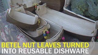 Made in Taiwan Sustainable dishware made from betel nut leaves  Taiwan News  RTI [upl. by Anehta852]