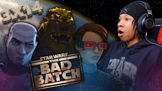 THE BAD BATCH 3x14 REACTION  “Flash Strike”  Star Wars [upl. by Concordia]