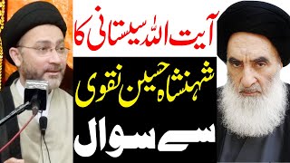 Ayatollah Sistani Ka Shahenshah Hussain Naqvi Sy Sawal  Maulana Shahenshah Hussain Naqvi [upl. by Viridissa]