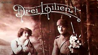 Drei Lilien German soldier songEnglish translation [upl. by Gabie]