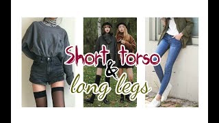 Short Torso amp Long Legs  Subliminal [upl. by Eirrac]