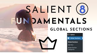 Salient Wordpress Theme  Footer Beginner Tutorial Series How to use Global Sections [upl. by Damek]