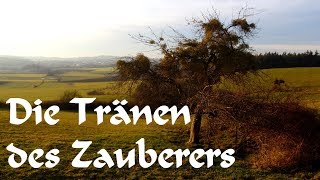 Die Tränen des Zauberers Ein modernes Märchen von EAPoeProductions [upl. by Crespi419]