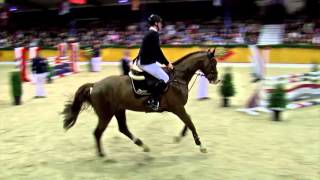 Livester 2011 by Lordanos  Carthago Stallion Show Sosath 2016 [upl. by Simara]