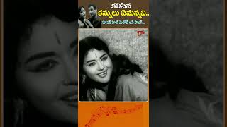 Kalisina Kannulu Emannavi Song  కలిసిన కన్నులు ఏమన్నవిVisalahrudayalu shorts youtubeshorts [upl. by Siri449]